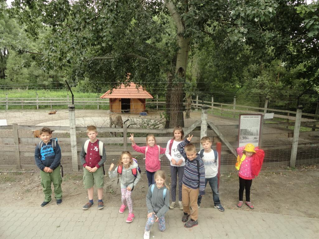 Nyári Tábor - 2015